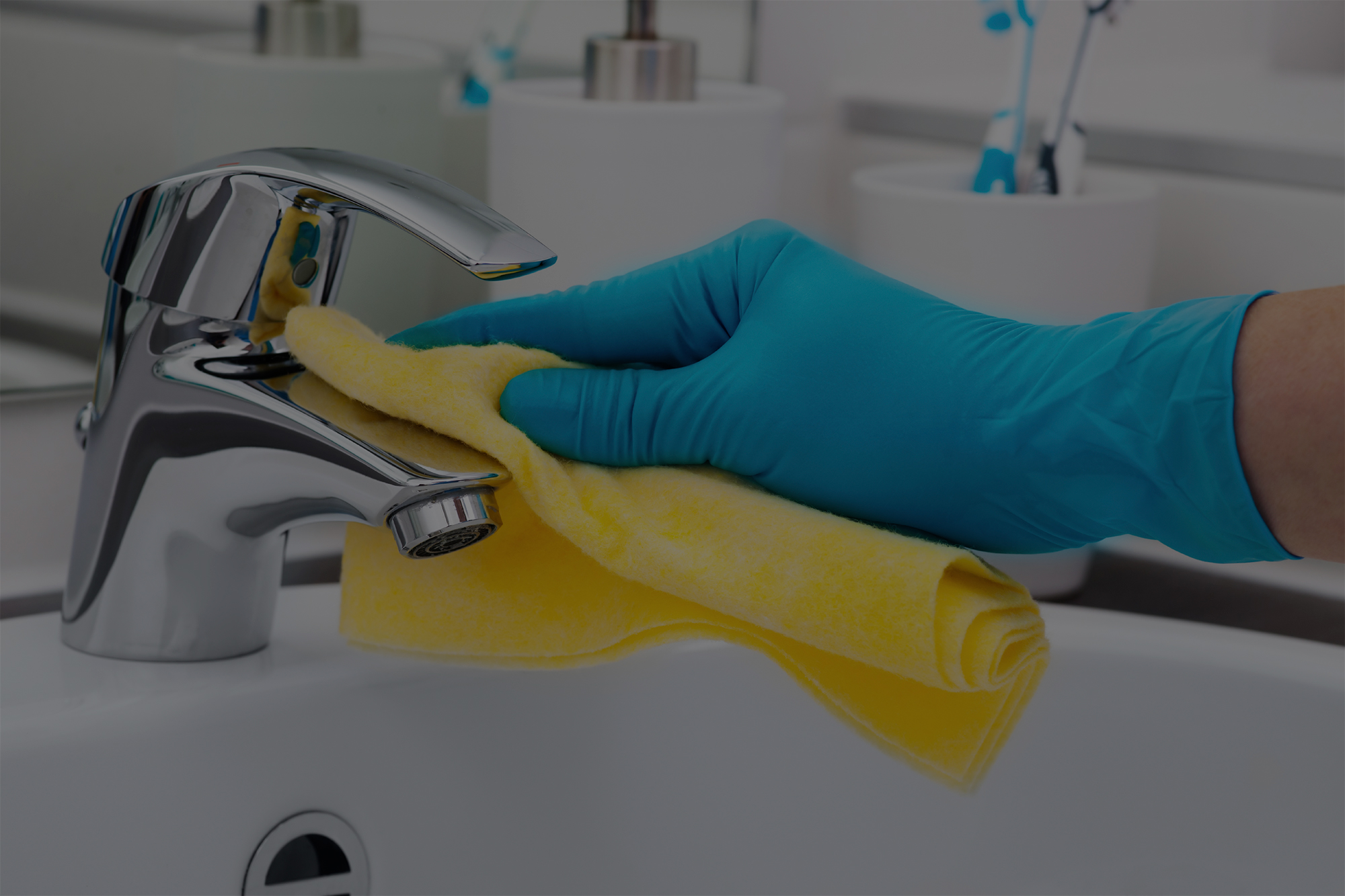 domestic services clover health care